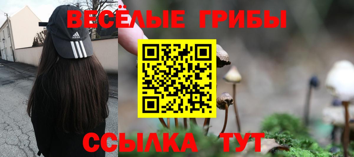 Серов  Галлюциногенные грибы Magic Shrooms  Вход с VPN 